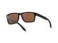 Oakley Holbrook Sonnenbrille 9102 F0