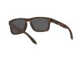 Oakley Holbrook Sonnenbrille 9102 F4