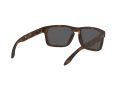 Oakley Holbrook Sonnenbrille 9102 F4
