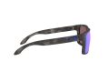 Oakley Holbrook Sonnenbrille 9102 G7