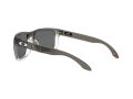 Oakley Holbrook Sonnenbrille 9102 O2