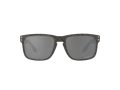 Oakley Holbrook Sonnenbrille 9102 W9