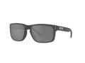 Oakley Holbrook Sonnenbrille 9102 W9