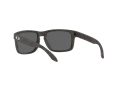 Oakley Holbrook Sonnenbrille 9102 W9