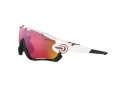 Oakley Jawbreaker Sonnenbrille OO 9290 05