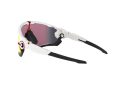Oakley Jawbreaker Sonnenbrille OO 9290 05