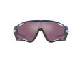 Oakley Sonnenbrille OO 9290 64