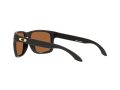 Oakley Holbrook Xl Sonnenbrille OO 9417 23