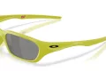 Oakley Terraforma Sonnenbrille OO 9530 04