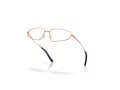 Oakley Neoastra Brillen OX 3116 02