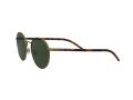 Polo Sonnenbrille PH 3133 9324/71