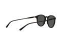 Polo Sonnenbrille PH 4110 5284/87
