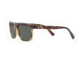 Polo Sonnenbrille PH 4133 5003/71