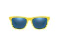 Polo Sonnenbrille PH 4167 5420/55