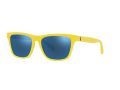 Polo Sonnenbrille PH 4167 5420/55