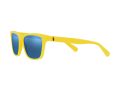 Polo Sonnenbrille PH 4167 5420/55