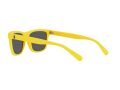 Polo Sonnenbrille PH 4167 5420/55