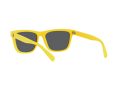 Polo Sonnenbrille PH 4167 5420/55