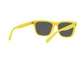 Polo Sonnenbrille PH 4167 5420/55