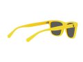 Polo Sonnenbrille PH 4167 5420/55