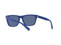 Polo Sonnenbrille PH 4167 5962/80