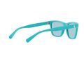 Polo Sonnenbrille PH 4167 5967/1N