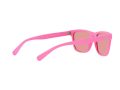 Polo Sonnenbrille PH 4167 5970/7V