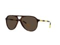 Polo Sonnenbrille PH 4173 5003/73