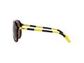 Polo Sonnenbrille PH 4173 5003/73