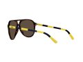 Polo Sonnenbrille PH 4173 5003/73