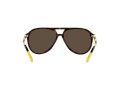 Polo Sonnenbrille PH 4173 5003/73