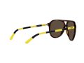 Polo Sonnenbrille PH 4173 5003/73