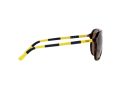 Polo Sonnenbrille PH 4173 5003/73