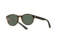 Polo Sonnenbrille PH 4176 5003/71