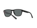 Polo Sonnenbrille PH 4180U 5375/81