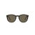 Polo Sonnenbrille PH 4183U 5057/3