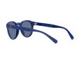 Polo Sonnenbrille PH 4184 5235/80