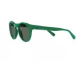Polo Sonnenbrille PH 4184 6017/71