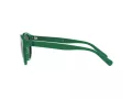 Polo Sonnenbrille PH 4184 6017/71