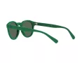 Polo Sonnenbrille PH 4184 6017/71