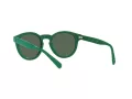 Polo Sonnenbrille PH 4184 6017/71