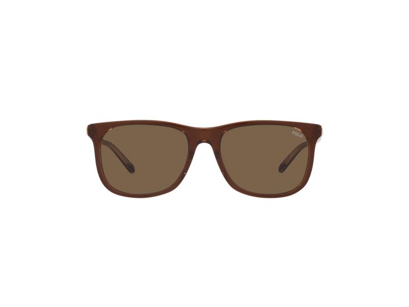 Polo Sonnenbrille PH 4186U 6029/73