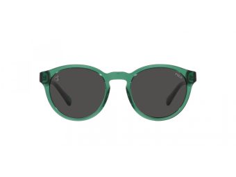 Polo Sonnenbrille PH 4192 608487