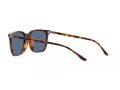 Polo Sonnenbrille PH 4194U 608980