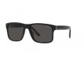 Polo Sonnenbrille PH 4195U 500187