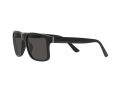 Polo Sonnenbrille PH 4195U 500187