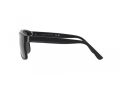Polo Sonnenbrille PH 4195U 500187