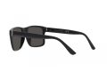 Polo Sonnenbrille PH 4195U 500187