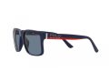 Polo Sonnenbrille PH 4195U 59042V