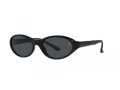 Polo Sonnenbrille PH 4197U 500187